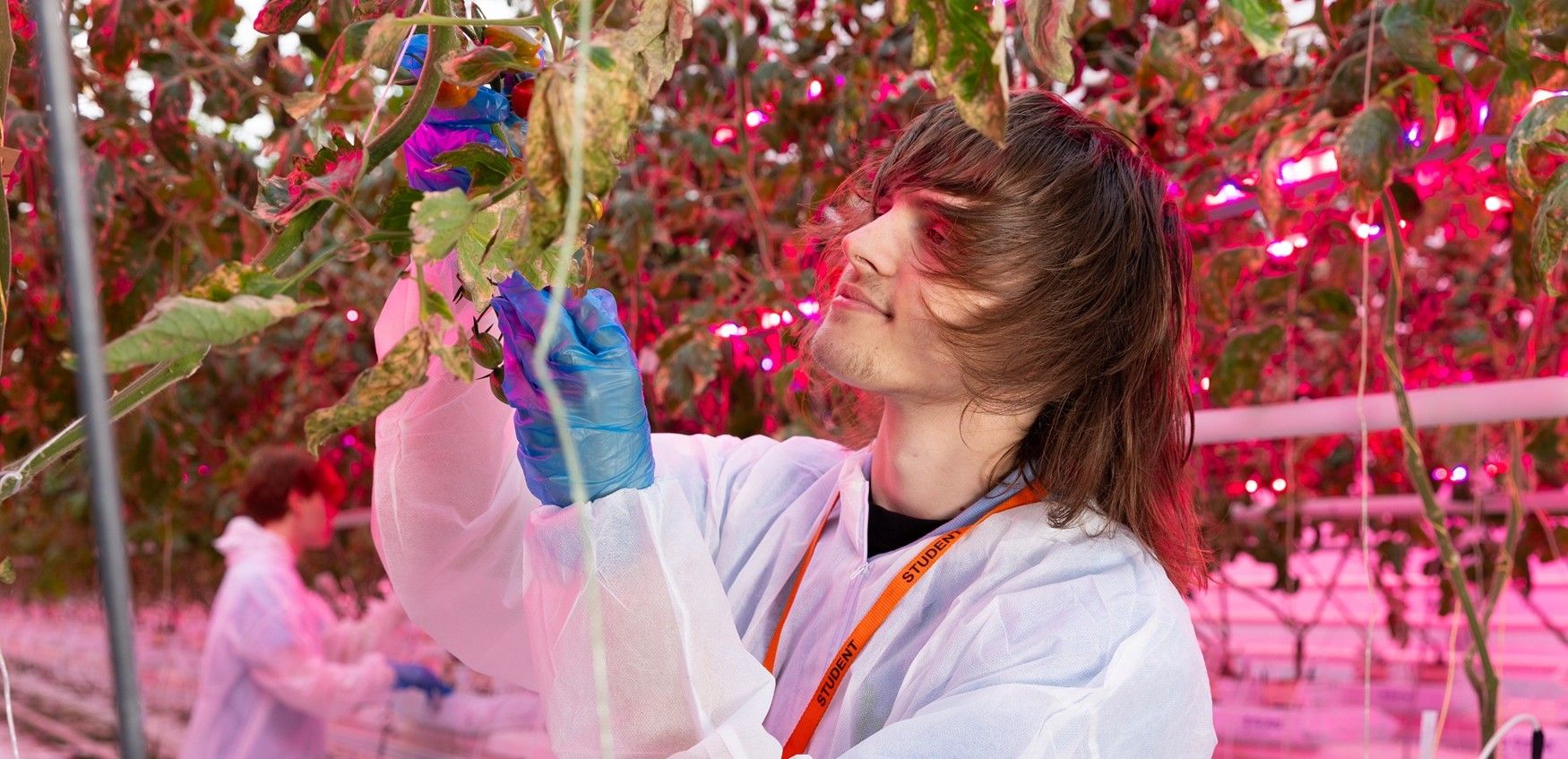Student monitoring crop