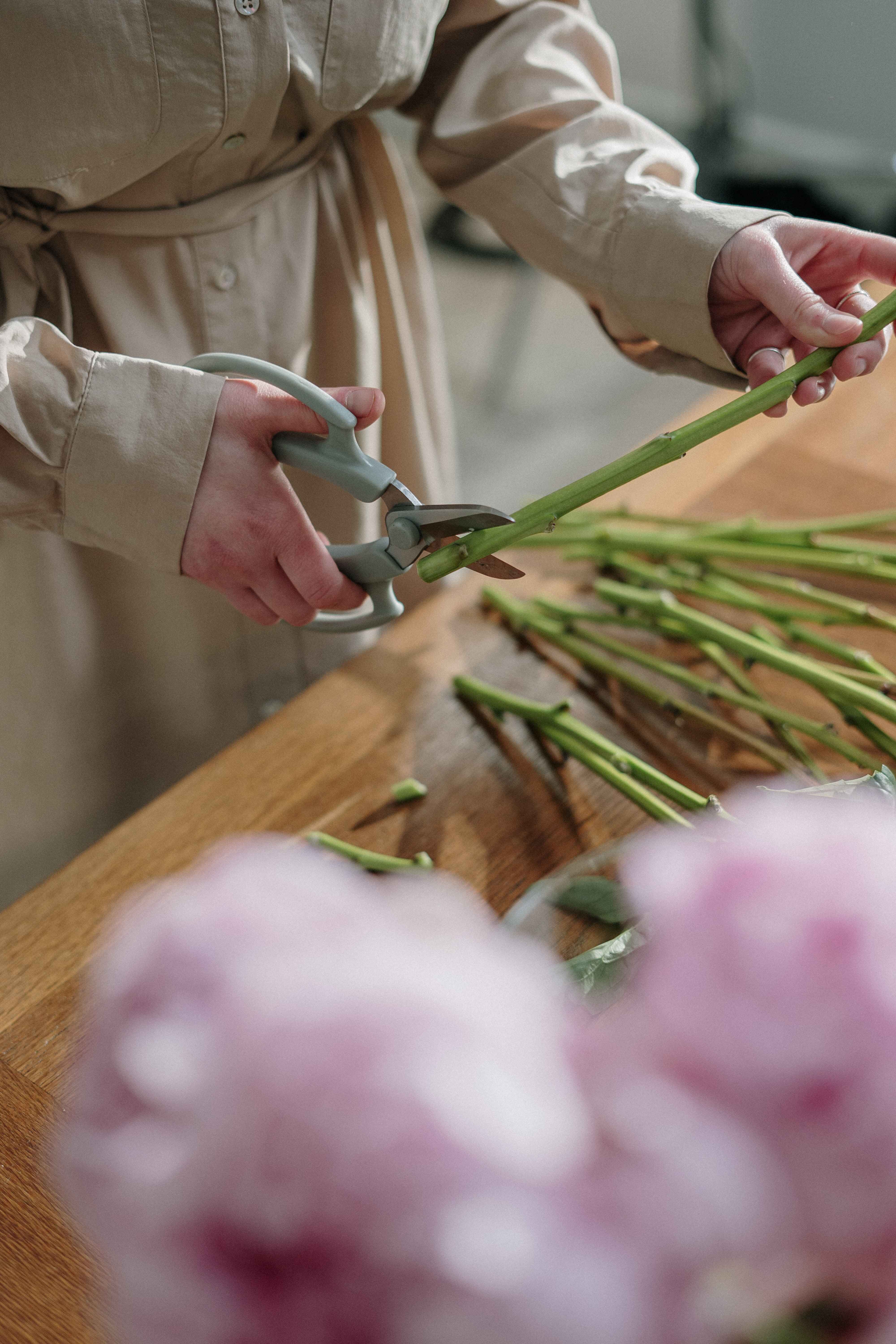 Cutting Flowers