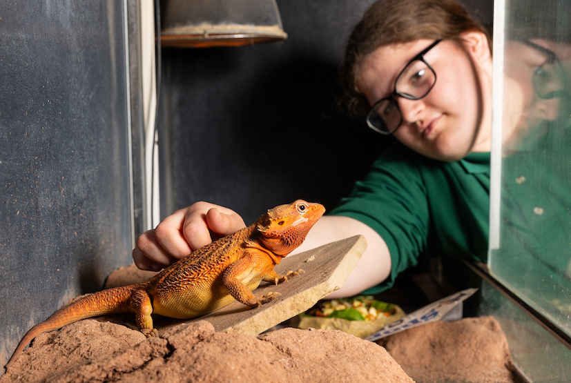 College student with lizard