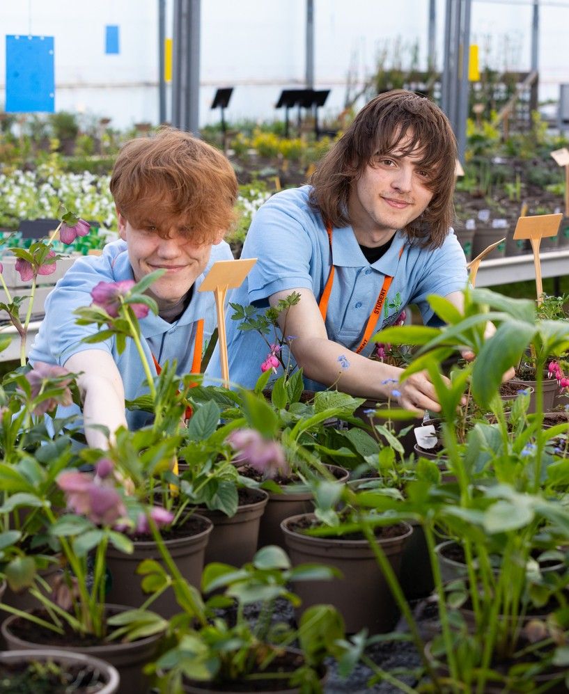 Horticulture and Garden Design