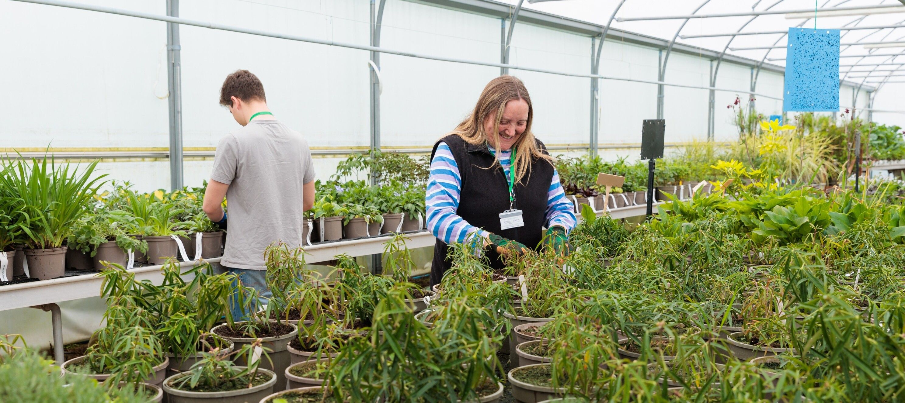 Hadlow-College-Landscape-Horticulture-HE-Students-In-Polytunnel