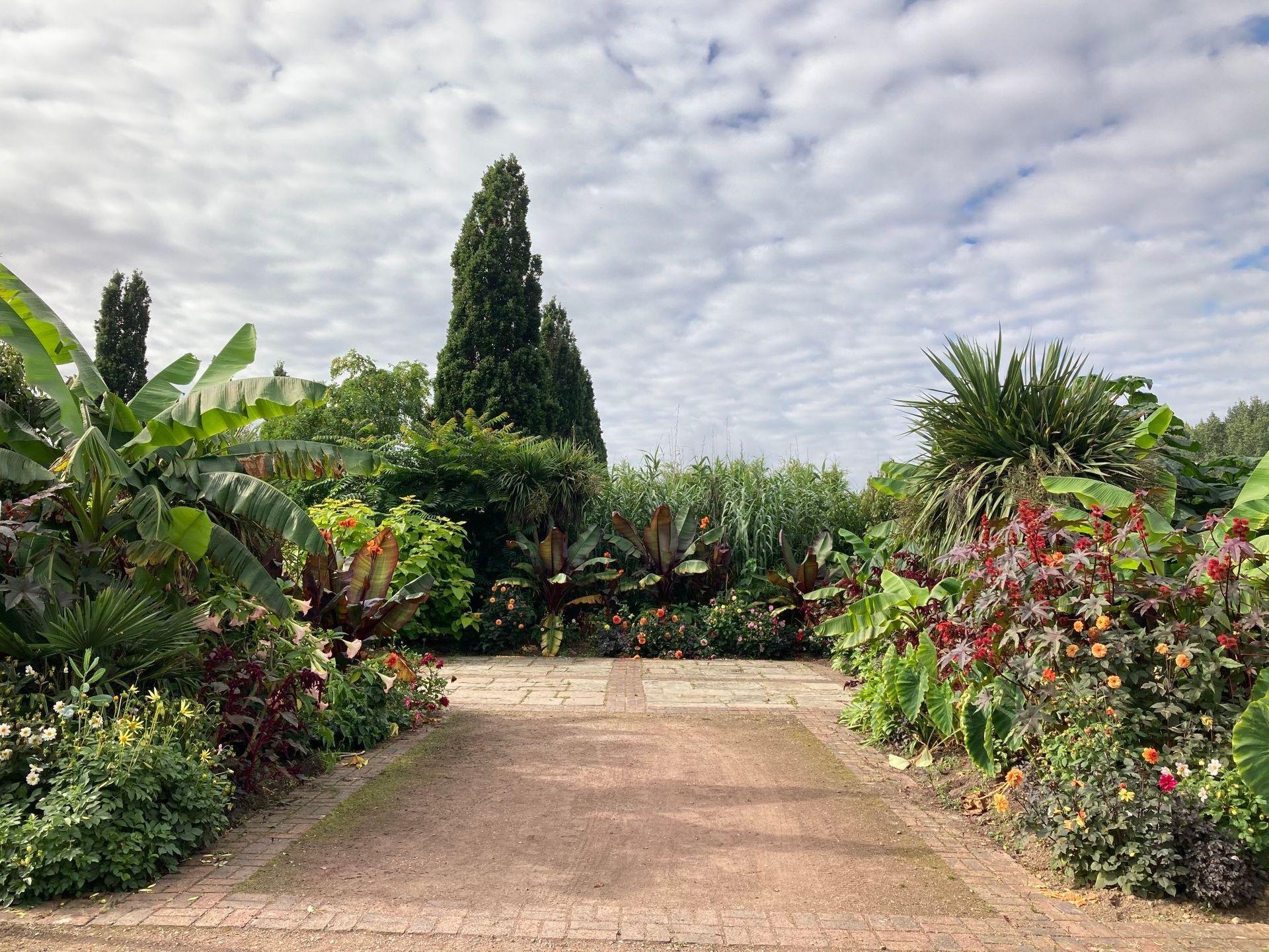 Broadview garden centre tropical gardens