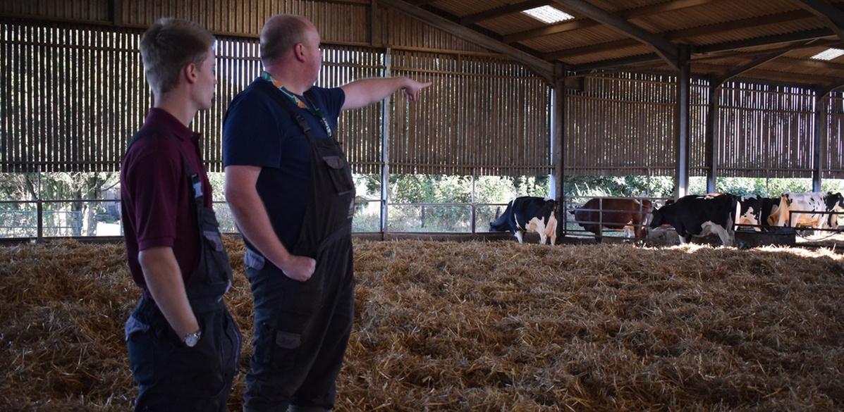 Agriculture student and tutor at the dairy farm