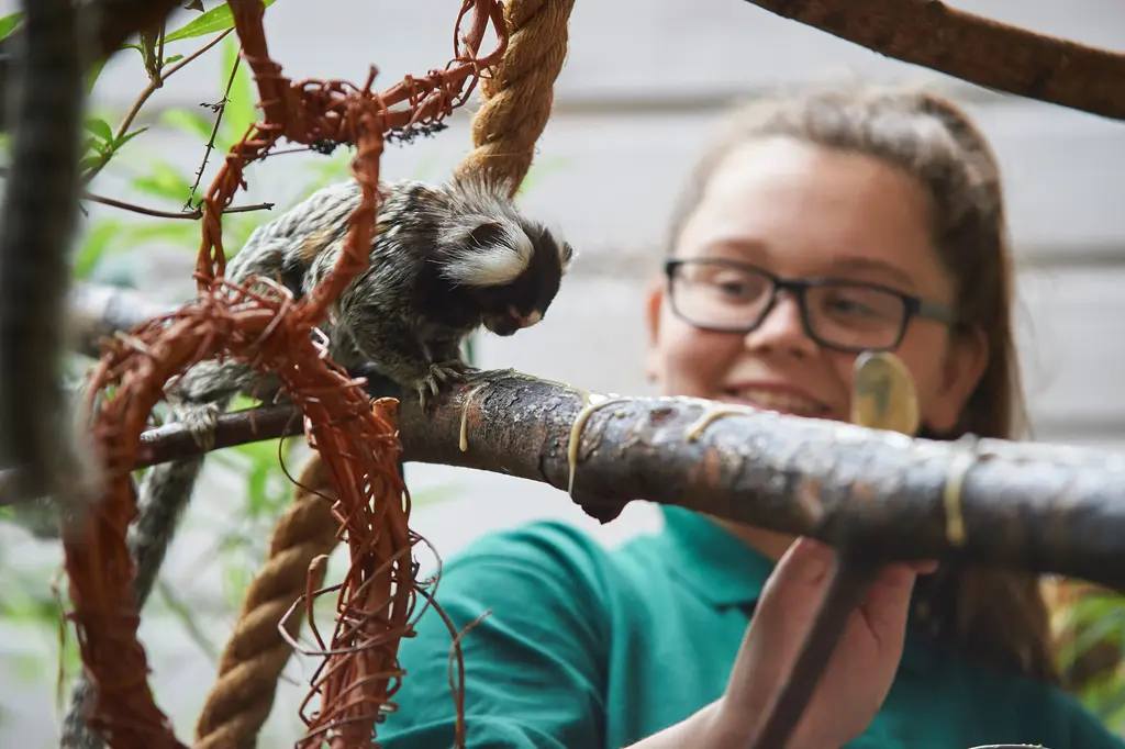 Animal Management student with monkey on a branch