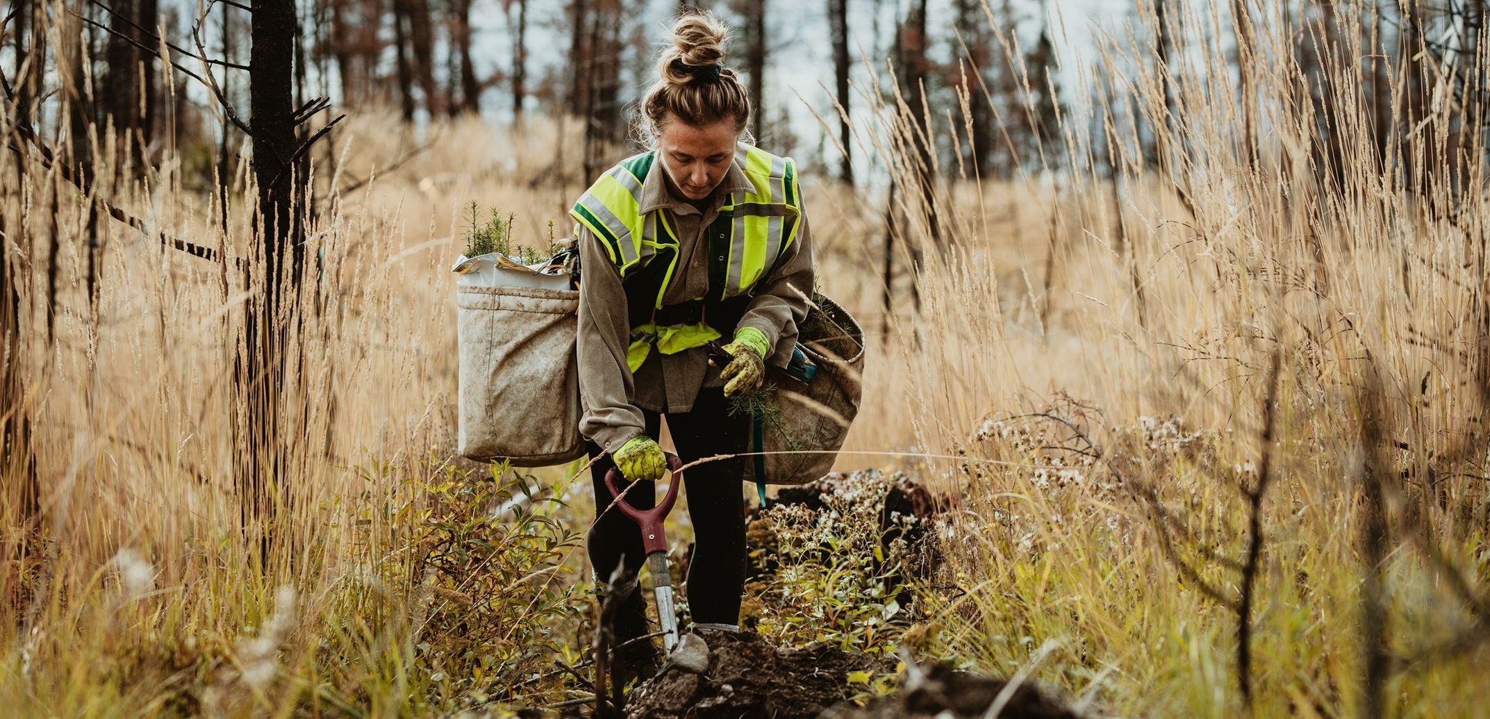 Person working soil in Forest