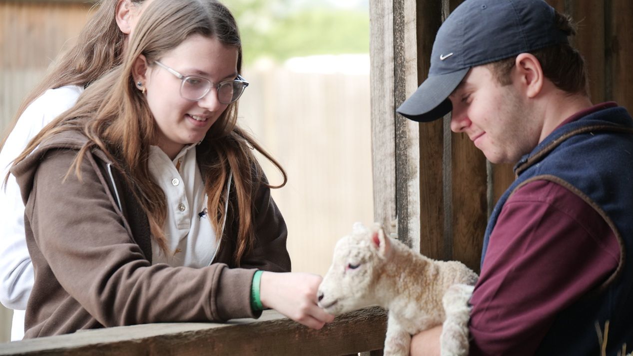 Lady stroking lamb
