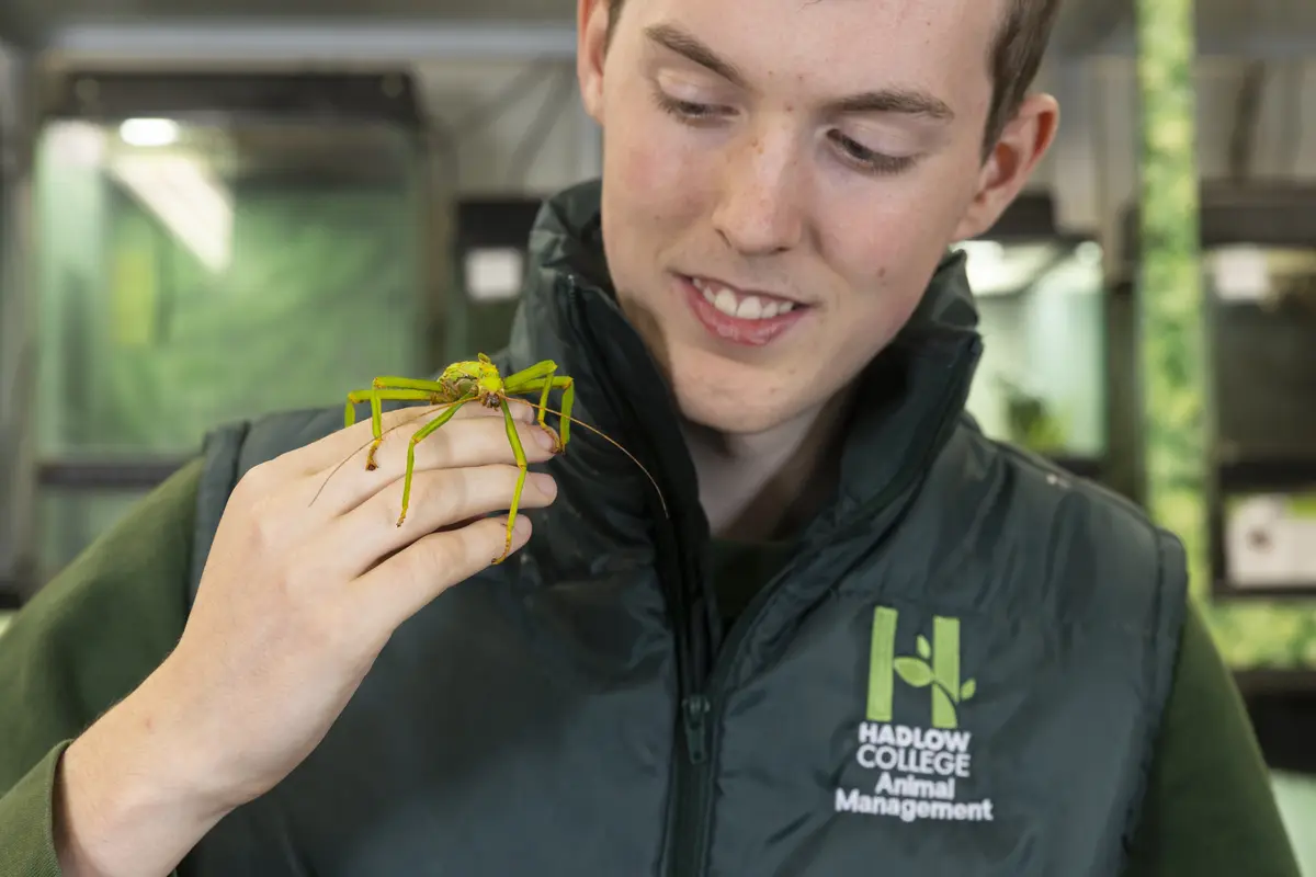 student holding bug