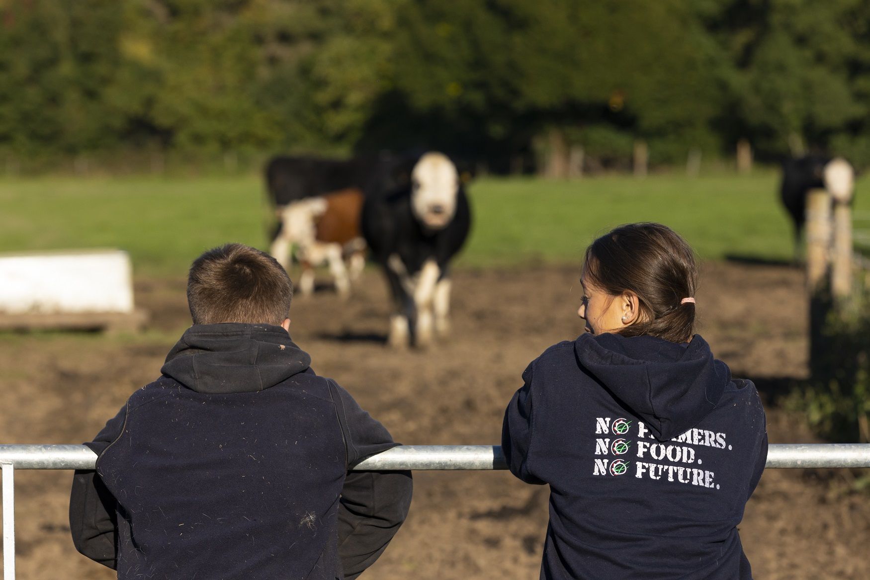 HAD X2 Students Looking At Cow Over Gate crop