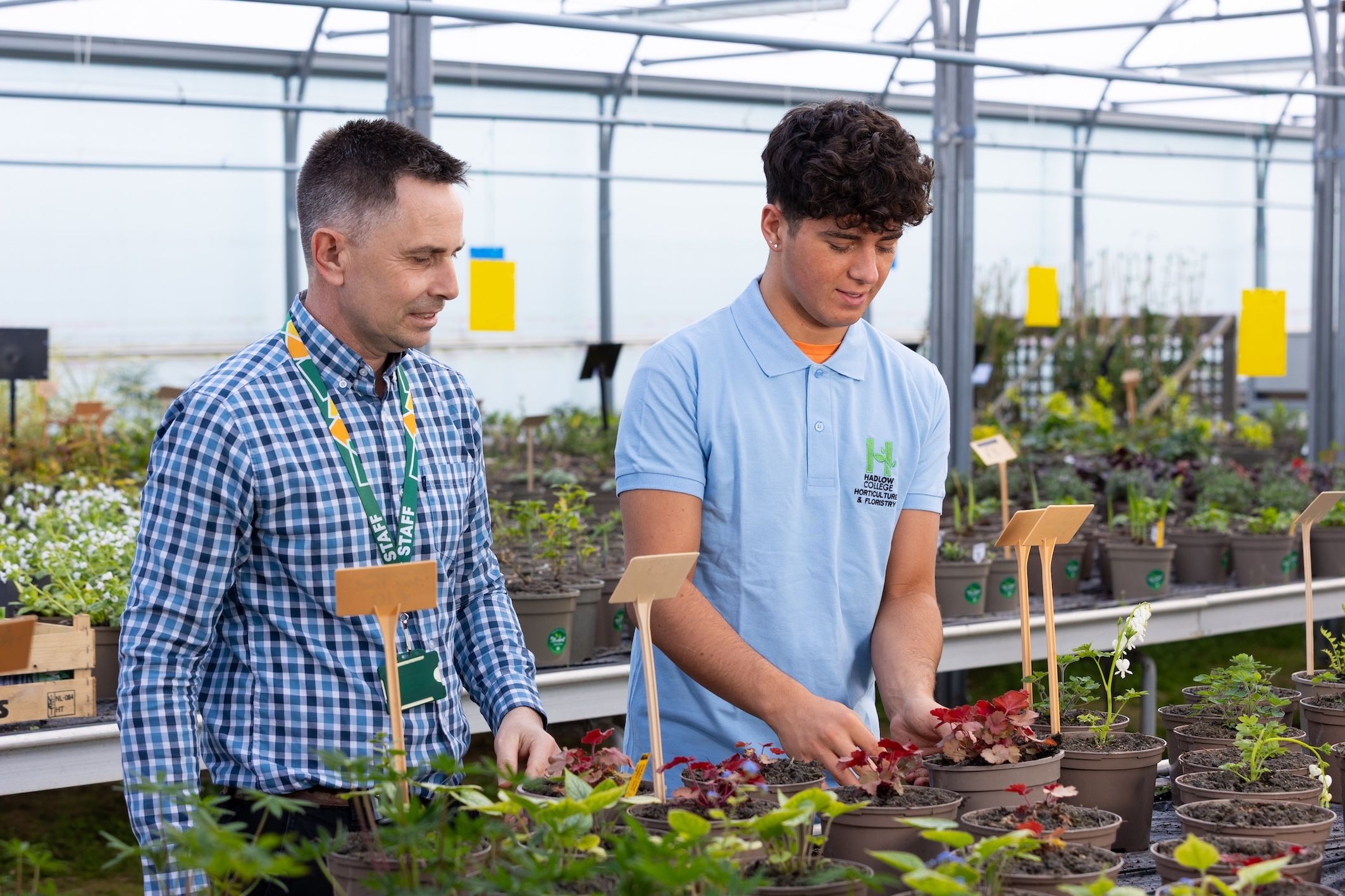 Tutor and student in polytunnel