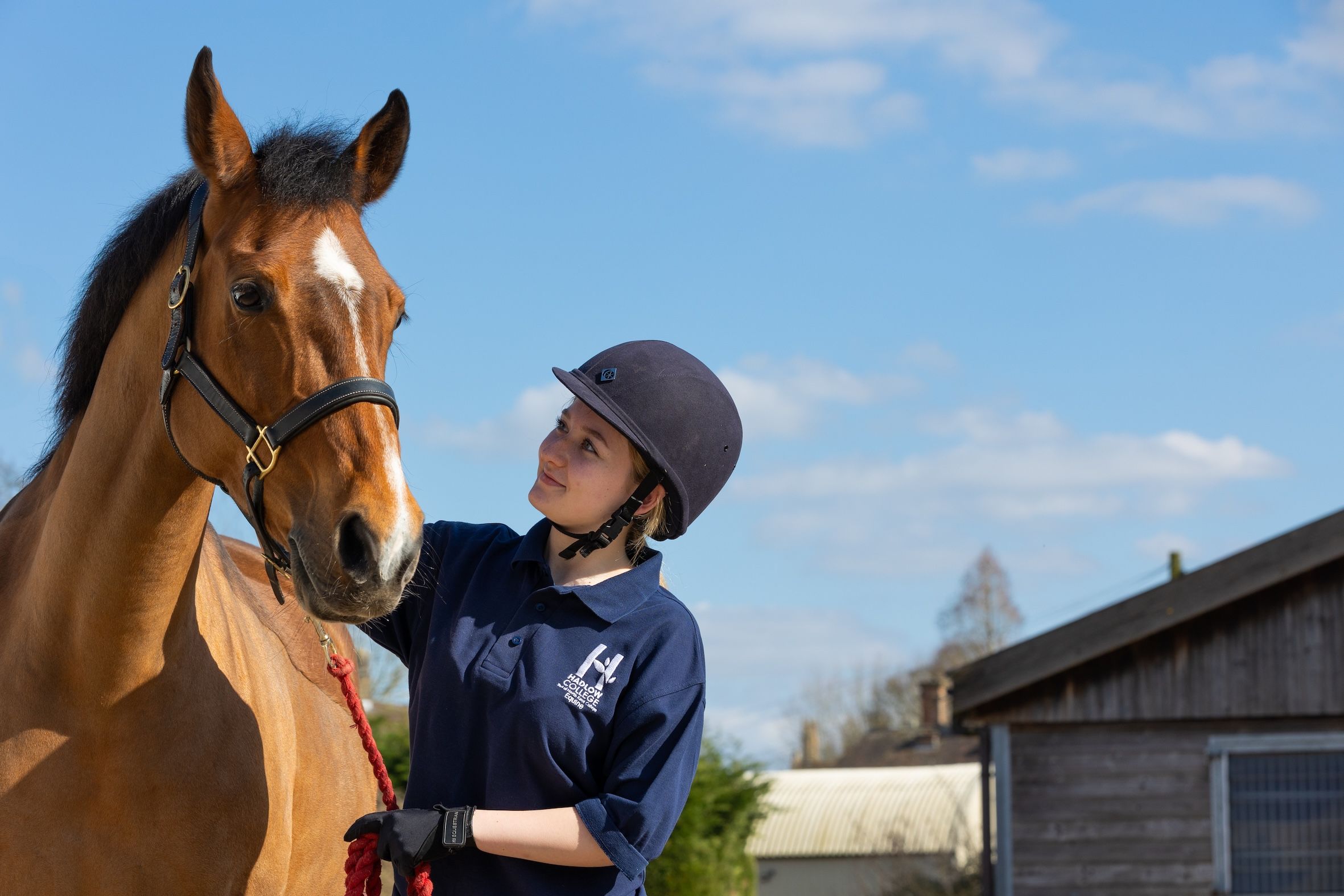 Equine student with horse