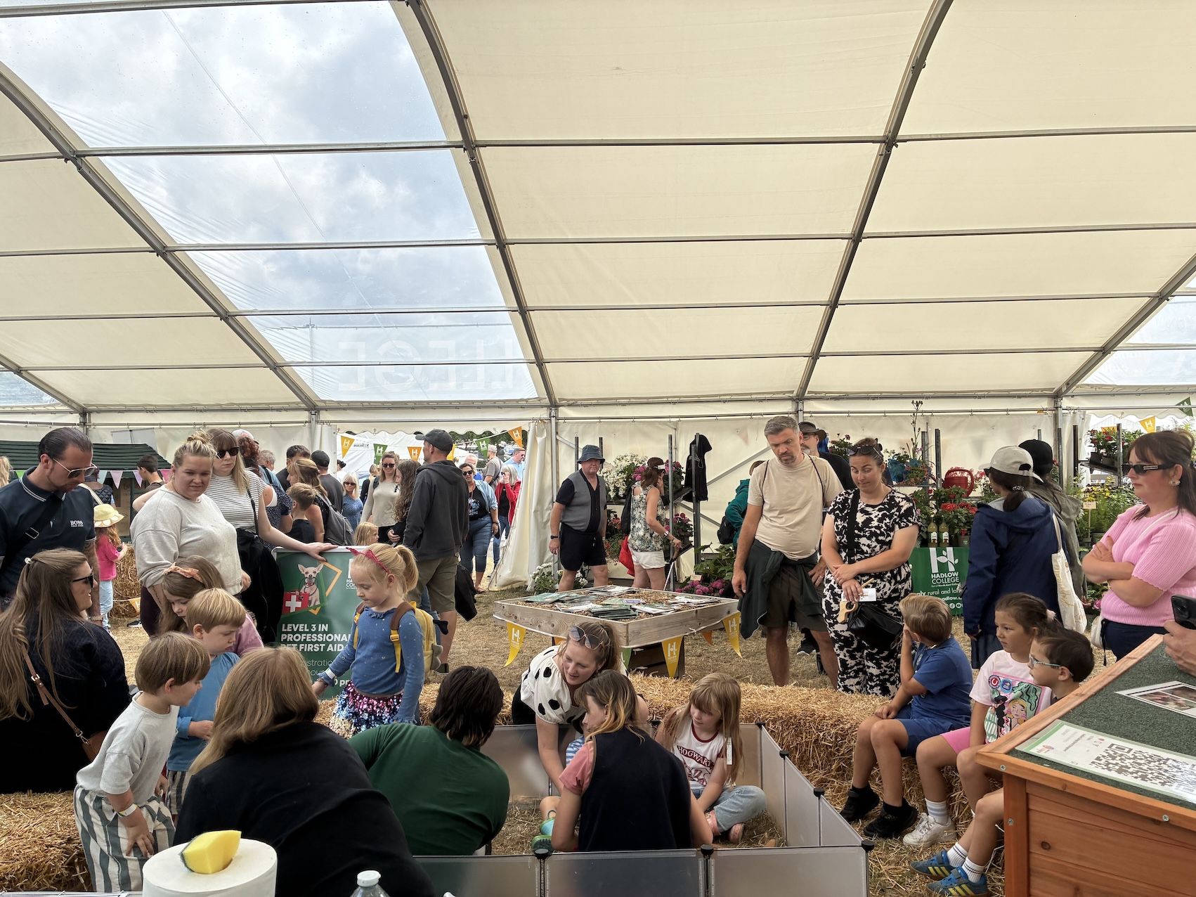 Children and adults sat in petting area
