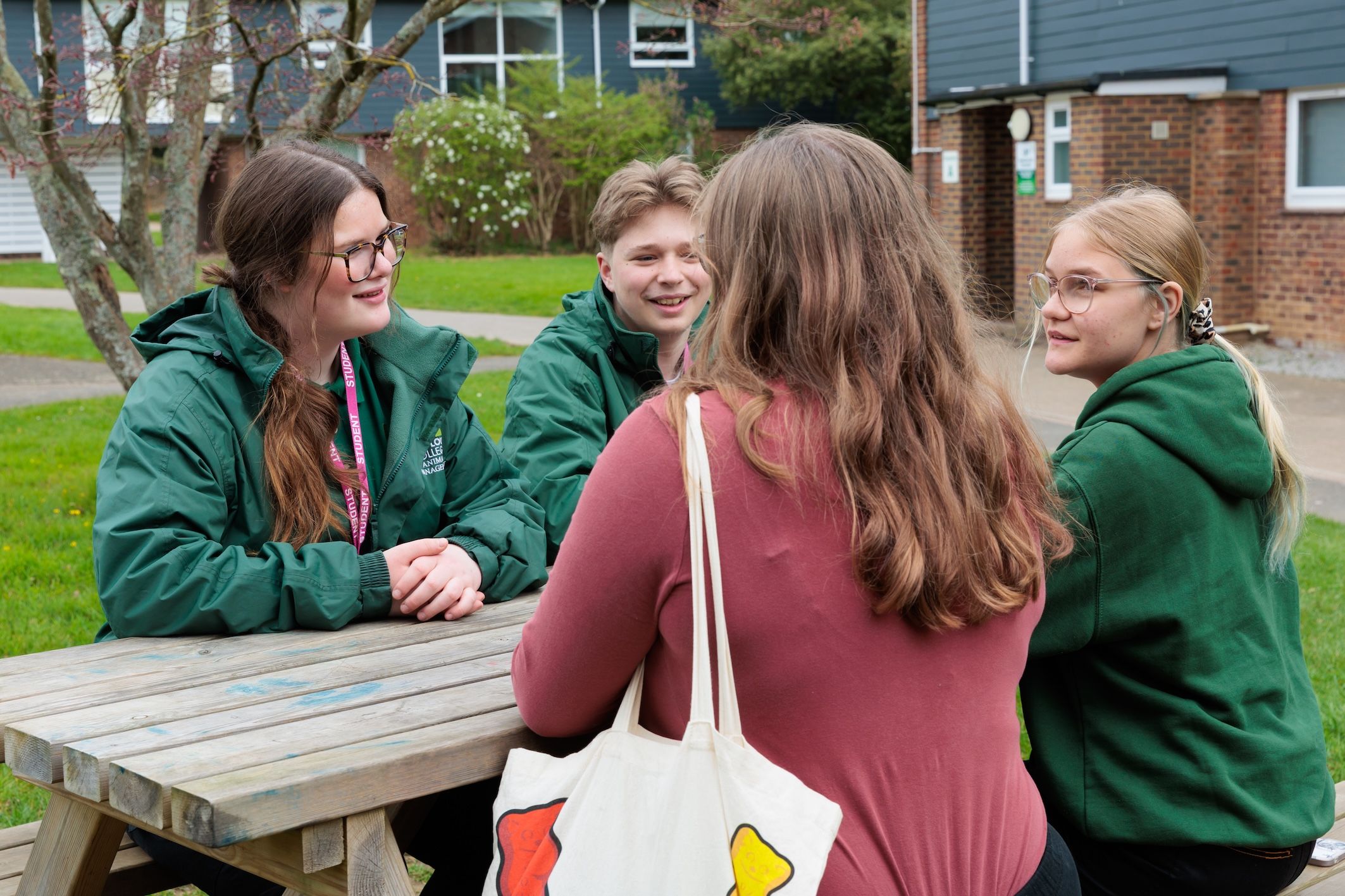 Group of students sitting talking at picnic bench
