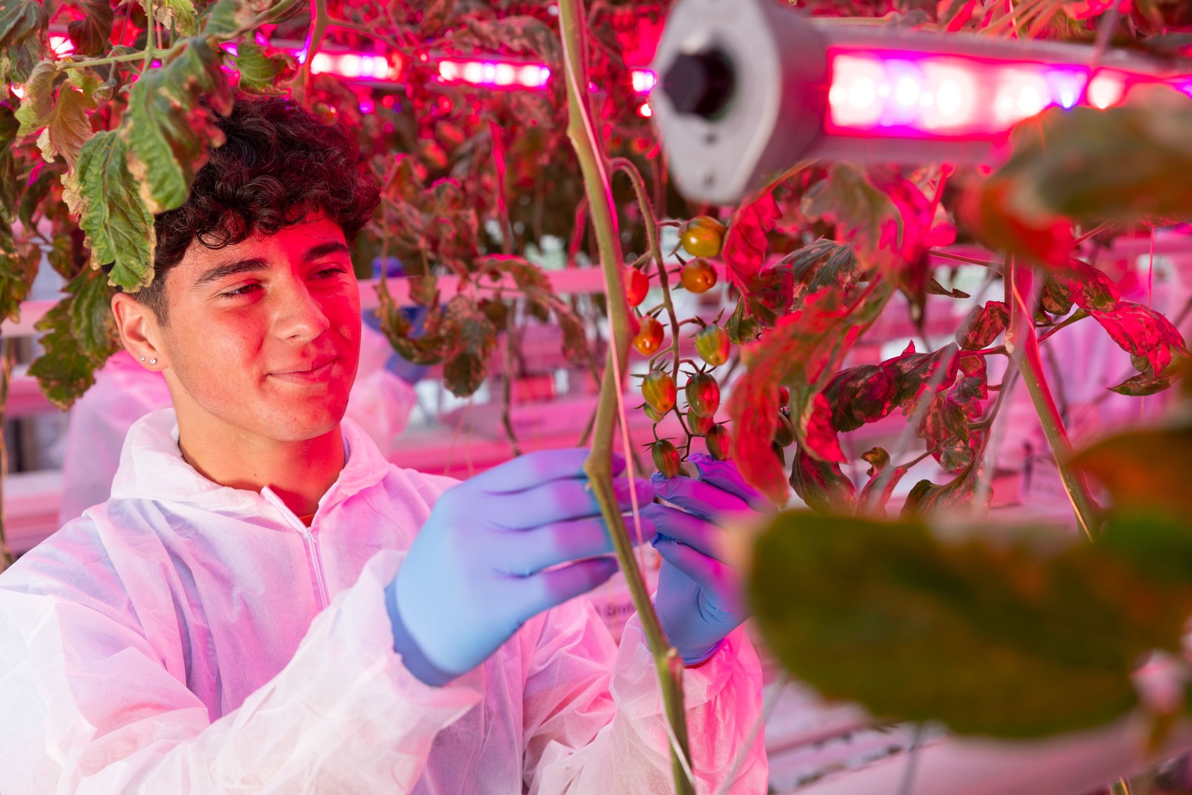 Student in glasshouse