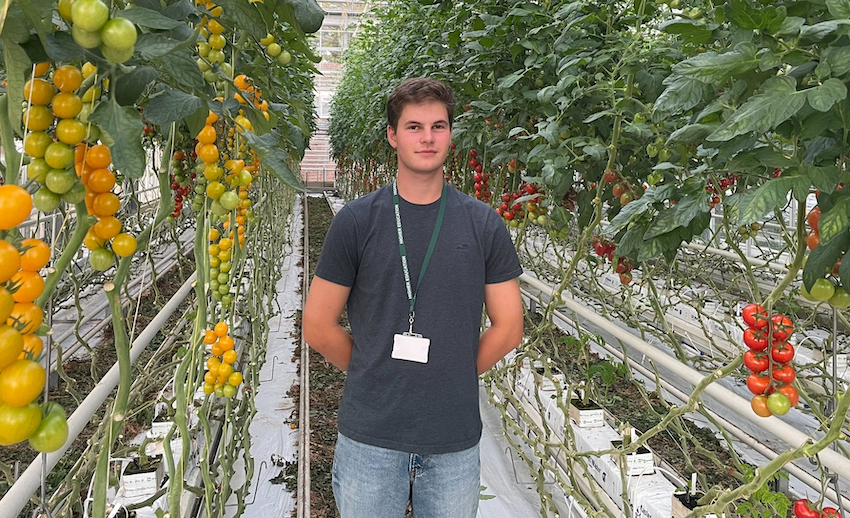 Student in greenhouse standing in front of vines of tomatoes