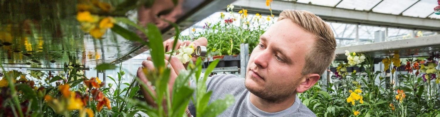 Horticulture college courses london