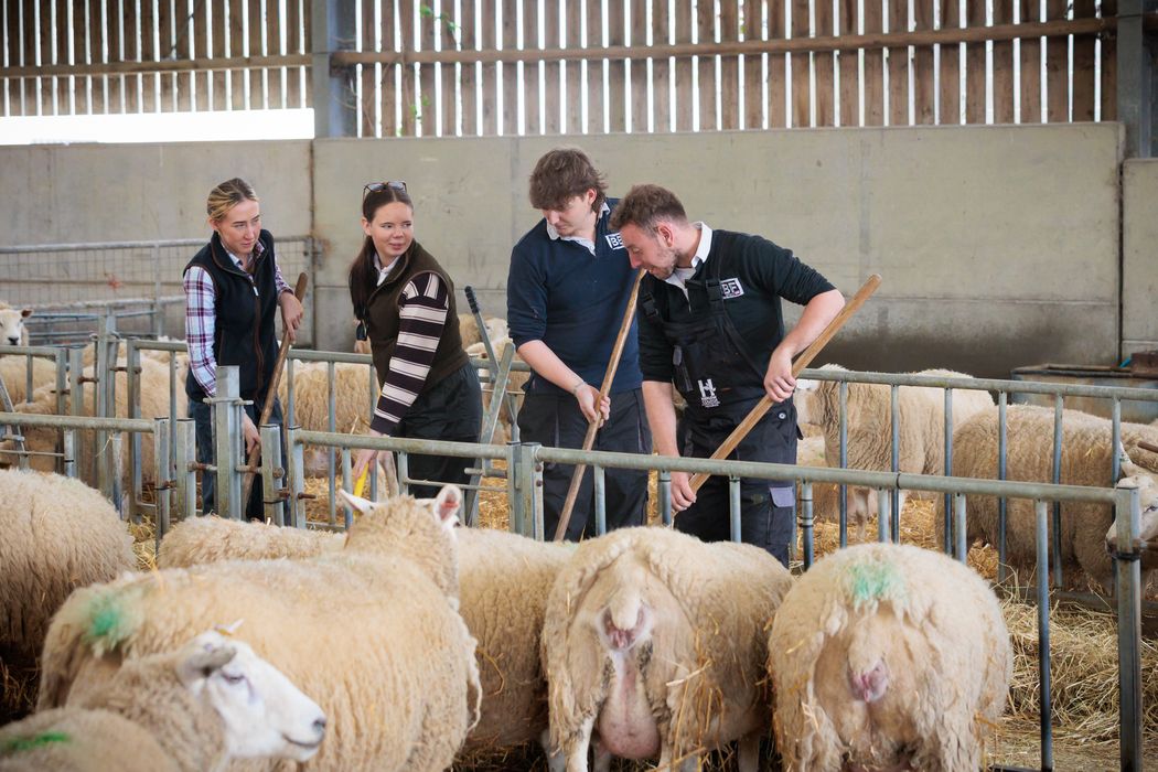 agriculture students cleaning