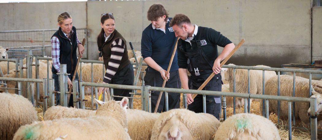 hadlow-college-agriculture-students-working