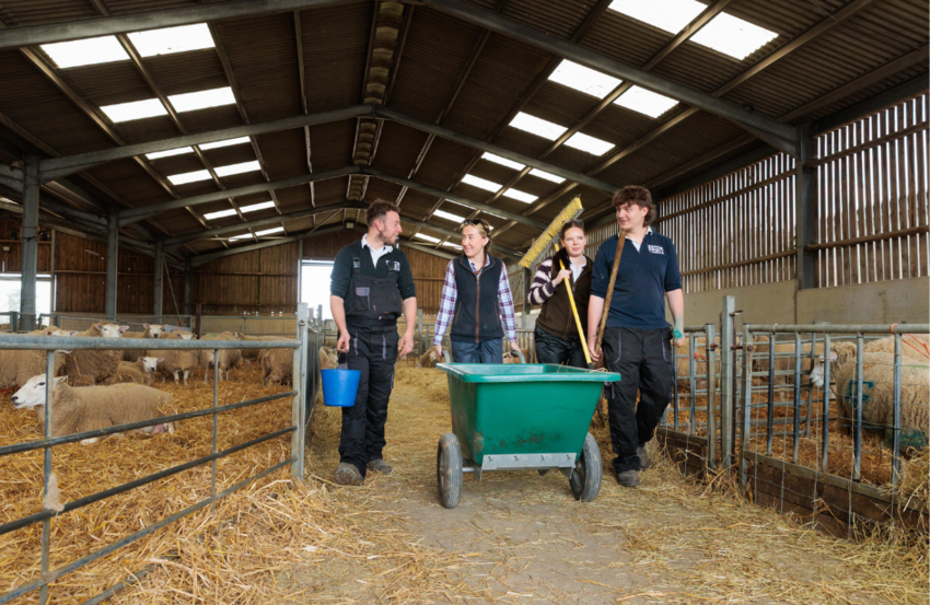hadlow-college-landscape-agriculture-four-students-walking-in-lambing-shed-2026