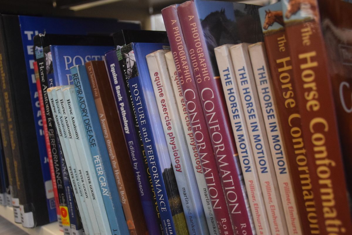 /hadlow-ltc-bookshelf.jpg#joomlaImage://local-images/hadlow-ltc-bookshelf
