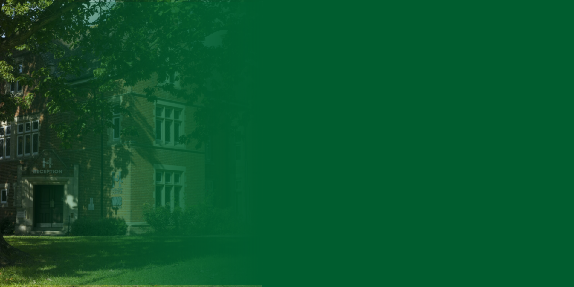 green square background