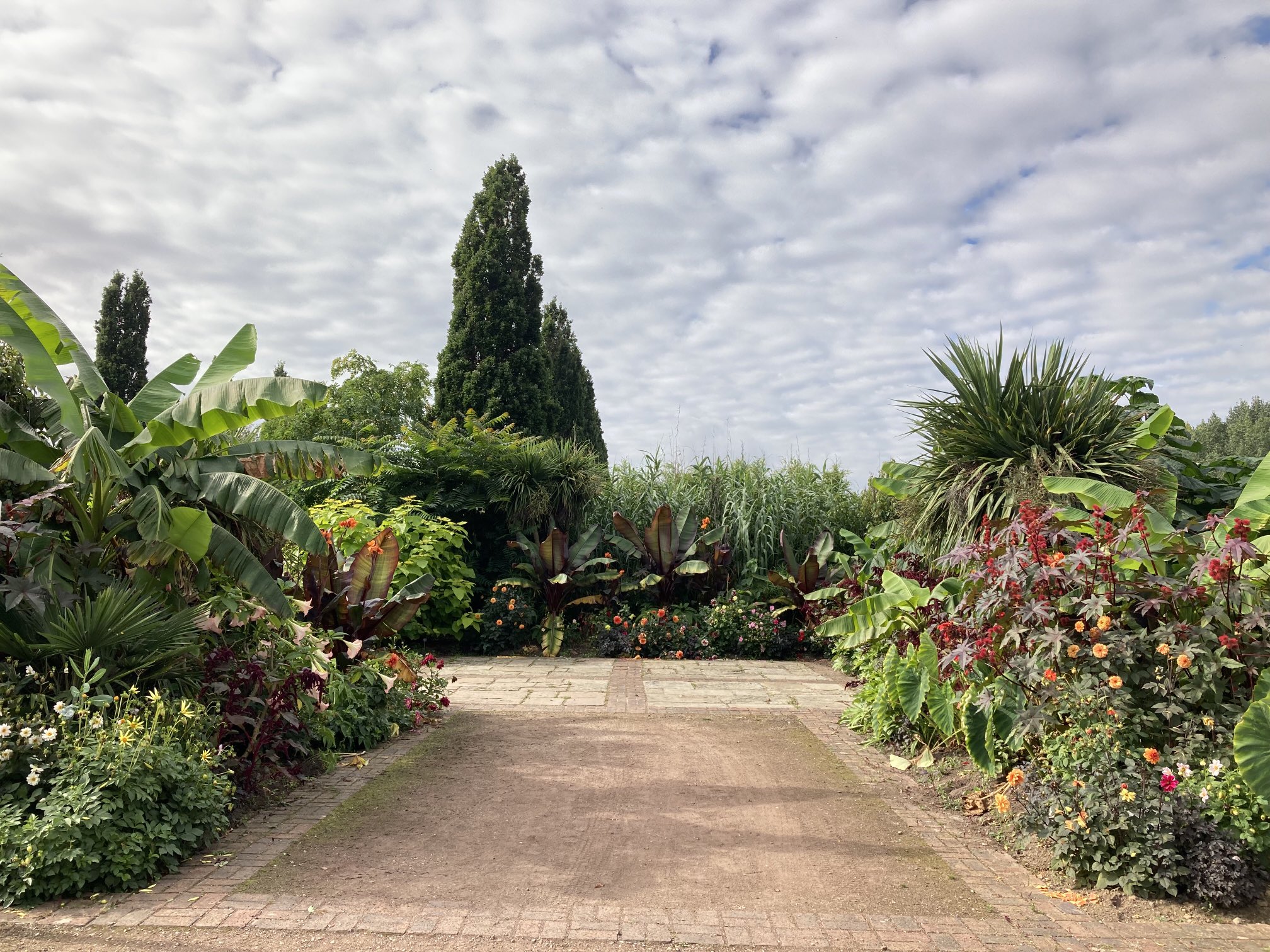 broadview gardens
