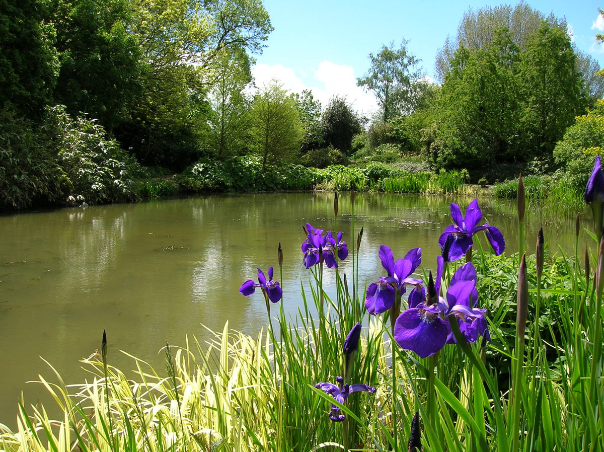 images Hadlow College broadview Themed garden are complimented by natural style areas