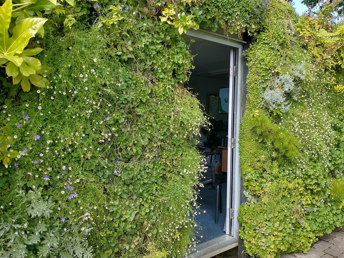 Living Wall 1