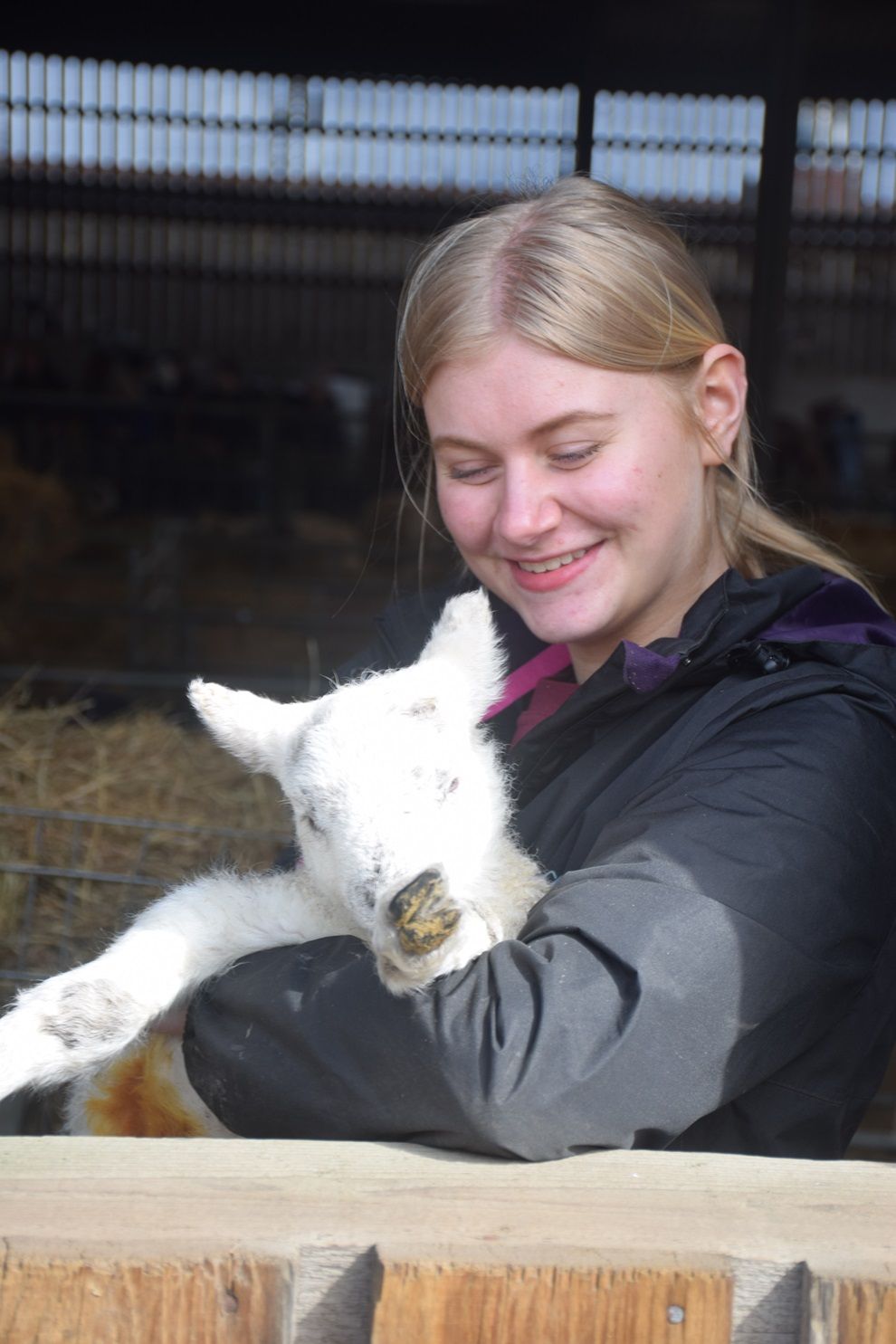 Girl holding lamb