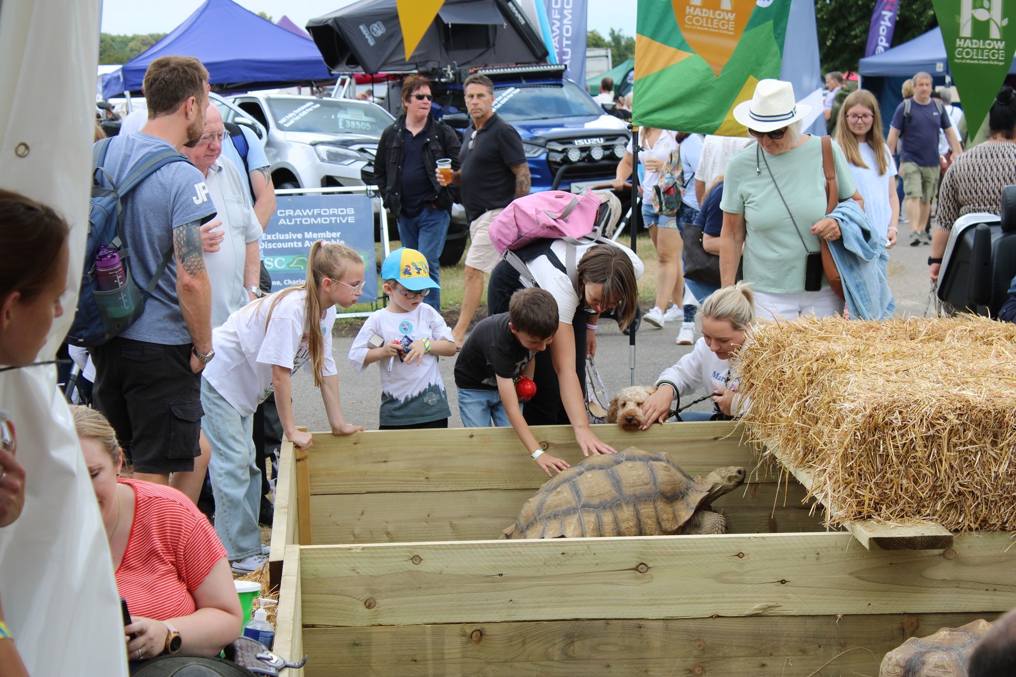 Visitors petting tortoise