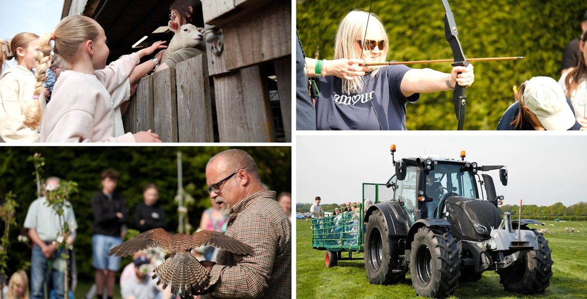 Montage of photos from Lambing Weekend