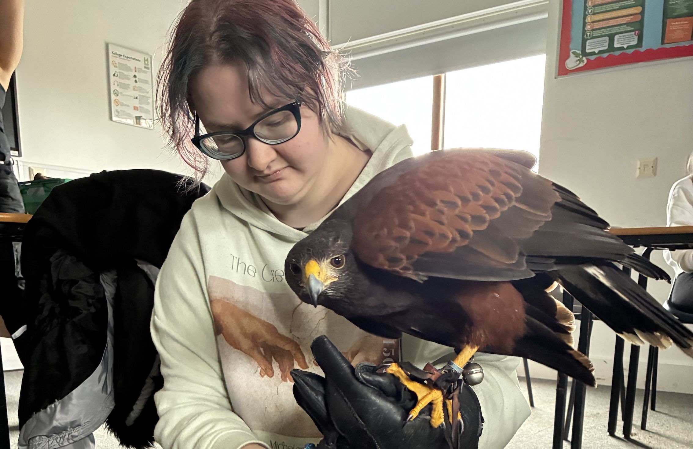 Student kneeling down with bird of prey