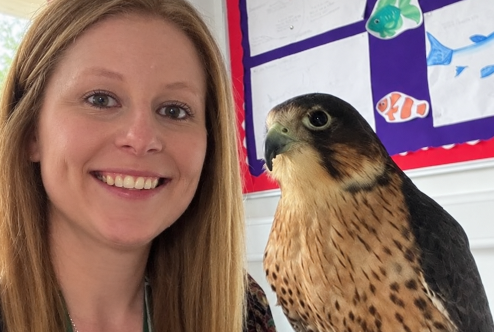Image shows a college tutor on left hand side and hawk on the right