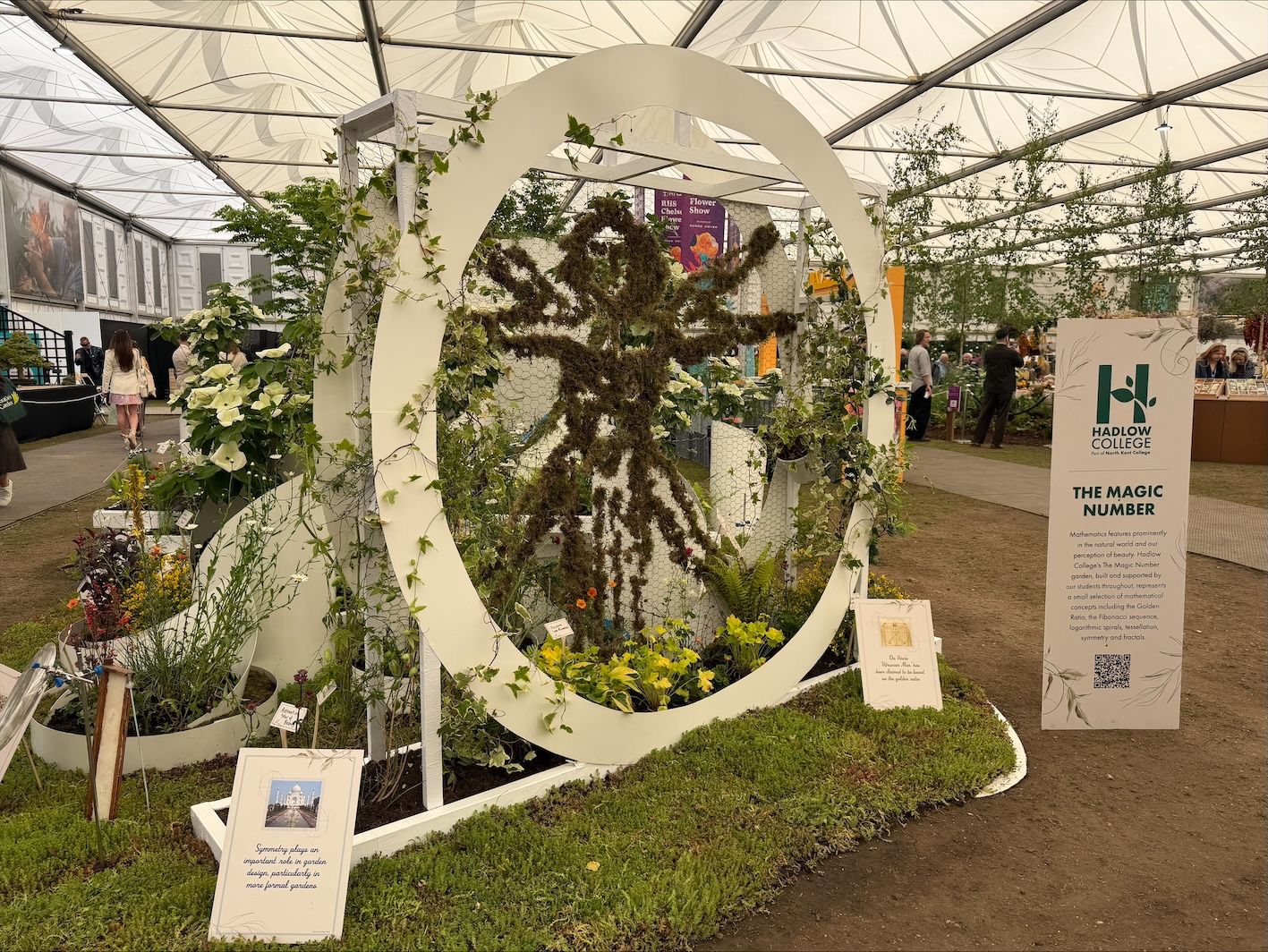 Hadlow College's 2026 RHS Chelsea Flower Show garden