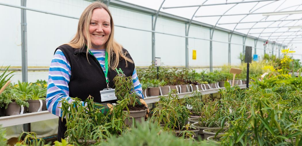 nkc-hadlow-landscape-horticulture-adult