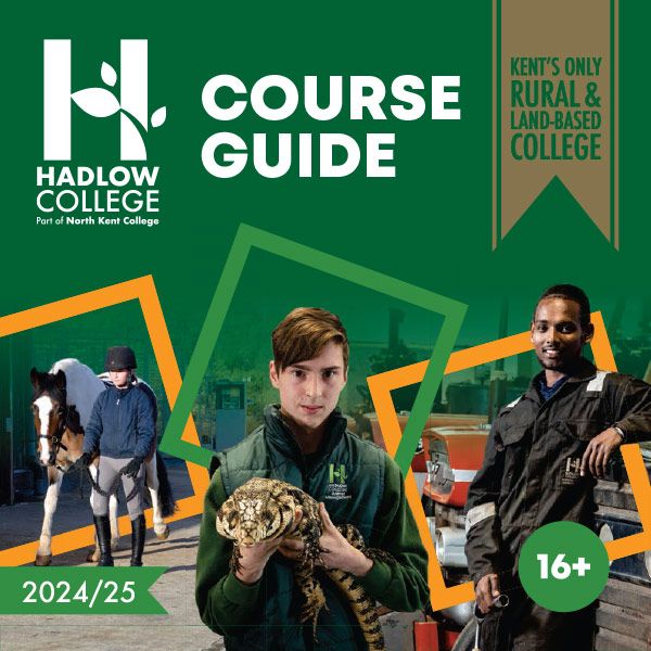 Full Time Course Guide
